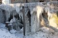 Winter 13.01.09 011